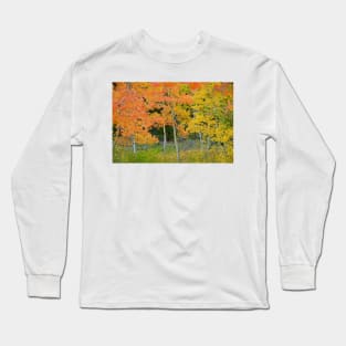 Colorado Aspens Bejeweled Long Sleeve T-Shirt